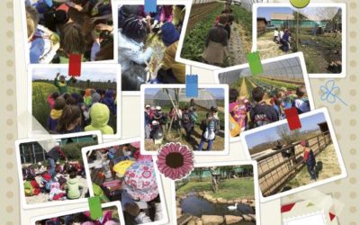 Raccontando di Giugno 2017