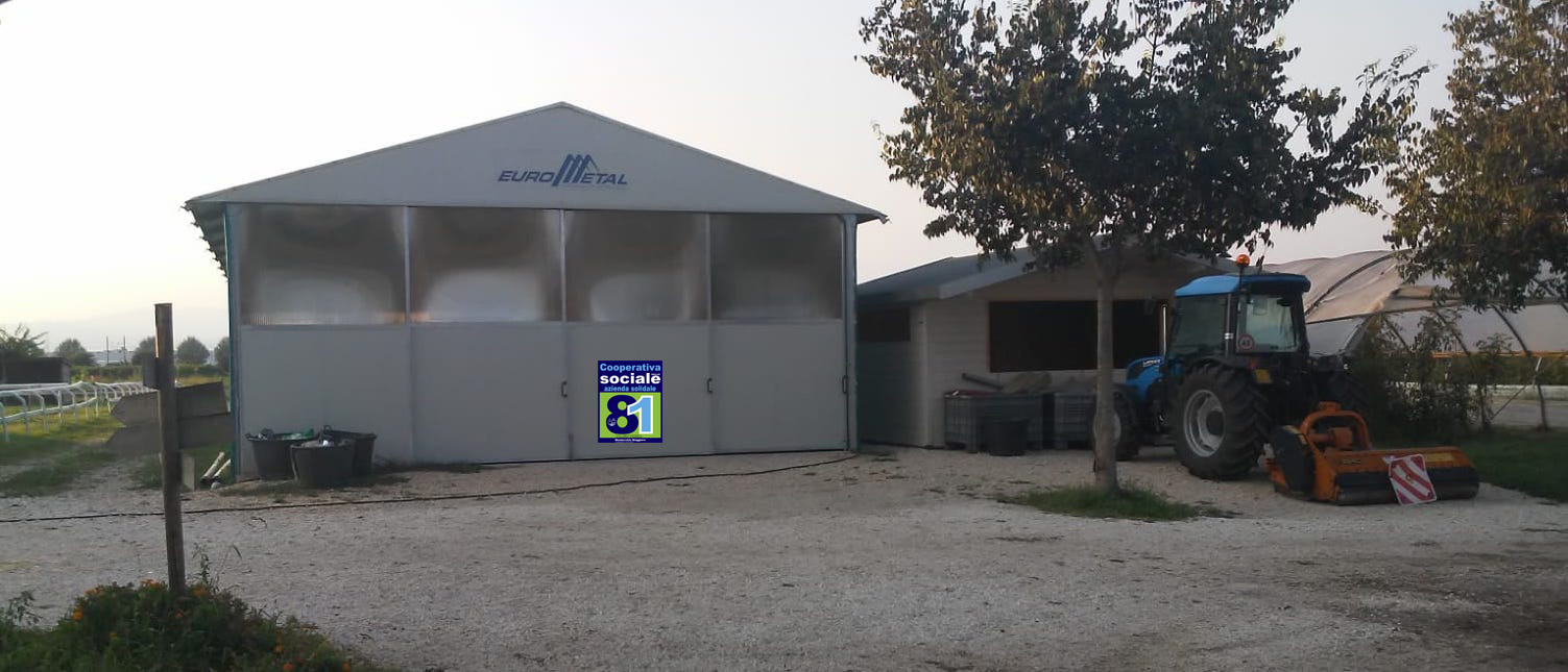 sede Verde 81_tagliata